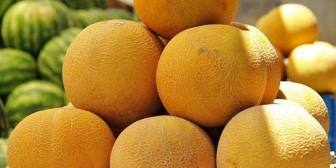 Kako odabrati zrelu i ukusnu dinju